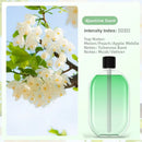 FreshScents™ Essential Oils (50ml)